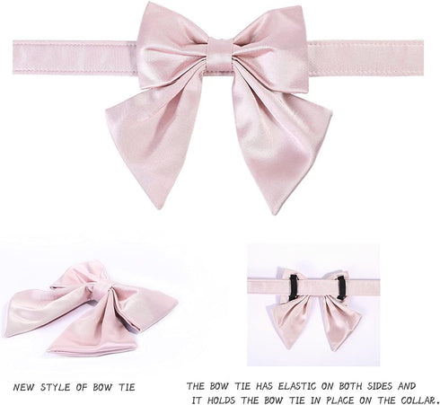 Lionet Paws Bowtie Dog Collar, Comfortable Silk Collar with Detachable Bow Tie for Medium Dogs