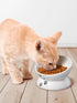 Y YHY Raised Cat Food Bowls, Anti Vomiting Tilted Elevated Ceramic Bowl for Flat Faced Cats, Small Dogs, Dishwasher Safe