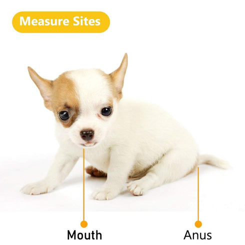 Animal Electronic Thermometer, Fast Rectal Thermometer for Dogs, Cats, Horses, Pigs, Sheep