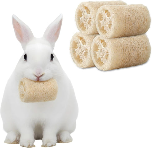 Qianyu 4 PCS Rabbit Chew Toys Natural Loofah Bunny Toys Pet Enrichment Accessories