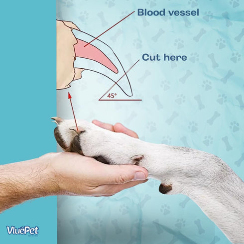 Pet Nail Grooming Tool with Stainless-Steel Nail Clippers and Trimmers, Enhanced Safety for Overcutting Protection
