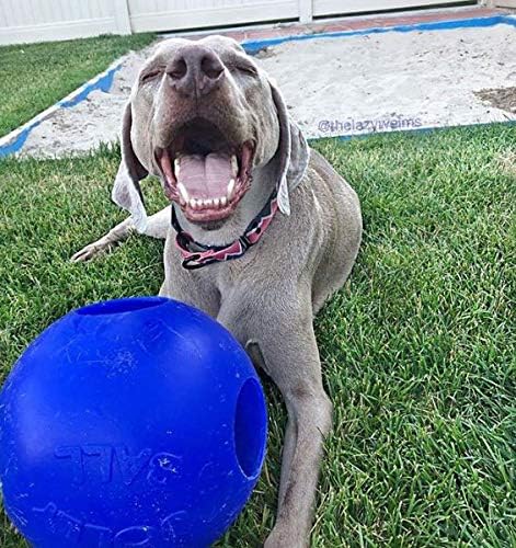 Jolly Pets Teaser Ball Dog Toy, Extra Large 10 Inches, Blue (1510 BL)