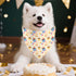 Adjustable Birthday Dog Bandanas - Double-Sided Triangle Scarves for Pets
