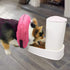 MCHY Inflatable Dog Cone - Adjustable Recovery Collar for Dogs After Surgery, Prevent Biting & Scratching (M, Pink)