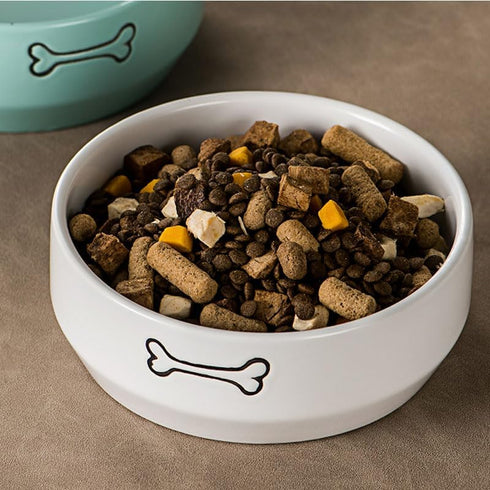 Ceramic Dog Bowls - Pet Feeding Bowls for Cats and Small Dogs, 20 oz (6.5" Blue/White)