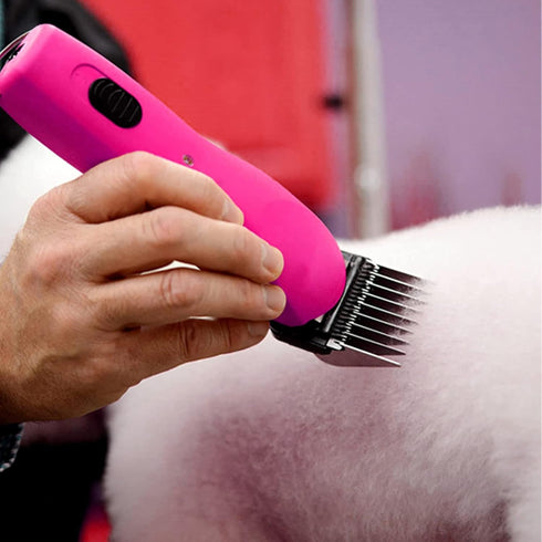 9 Set,Compatible A5, Professional Animal Stainless Steel Attachment Color Guide Comb with Andis, Oster Wahl KM Series