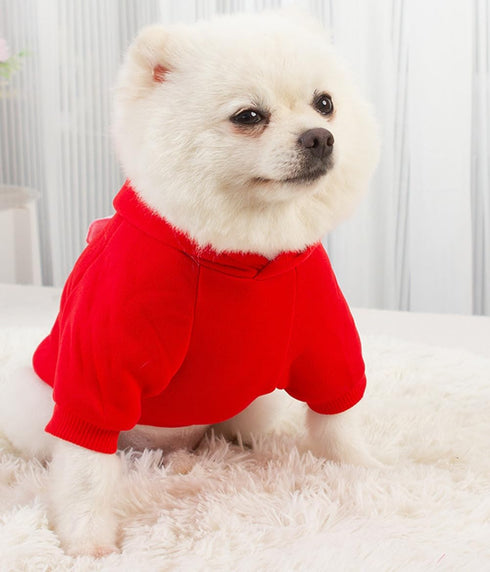 Female Dog Hoodie Sweatshirt with Hat, Cotton Coat for Small Girl Pup, Bowtie Chihuahua Clothing
