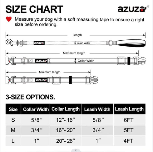 azuza Durable Padded Dog Leash, Reflective Strip for Extra Safety and Comfort for Small Dogs, Blue