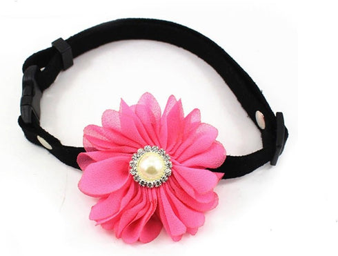Designer Rhinestones Daisy Flower Charm, Suede Leather Pet Cat Dog Bow Tie Collar Necklace, Hot Pink, Size M
