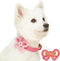Blueberry Pet Adjustable Dog Collar with Metal Buckle and 2 Detachable Bowtie, Pink Polka Dot, Neck 13-16.5", for