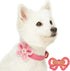 Blueberry Pet Adjustable Dog Collar with Metal Buckle and 2 Detachable Bowtie, Pink Polka Dot, Neck 13-16.5", for