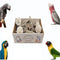 Generic Bird Toys Bird Foraging Shredding Chewing Parrot Foraging Shredding Toys Chewing Toy
