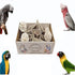 Generic Bird Toys Bird Foraging Shredding Chewing Parrot Foraging Shredding Toys Chewing Toy