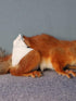 WCDJOMOP (3.9" 6.3"), 3 Reusable Washable Squirrel Diapers, Highly Absorbent with Strong & Flexible Pants No Leak
