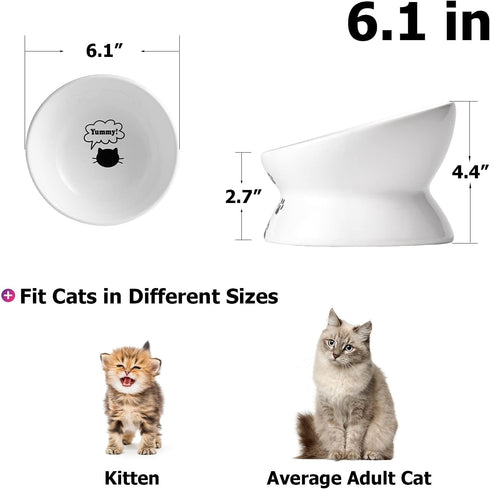 Y YHY Cat Food Bowl 6", Elevated Tilted Cat Bowl, Raised Cat Bowls for Adult Cats or Dogs, Ceramic Pet Food Water Dish 10 oz, White
