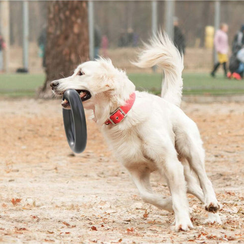 Dog Chew Circle Toys for Aggressive Chewers, Durable Non-Toxic Natural Rubber (Orange) (LJ-ZLK-112903)