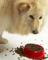 Evanger's Super Premium Gamebird Recipe with Coconut Oil Dry Food for Dogs
