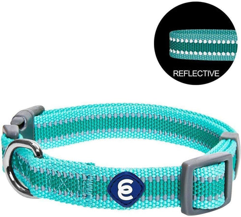 Blueberry Pet Essentials Reflective Adjustable Safety Nylon Dog Collars, Medium Size, Minty Green for Dogs