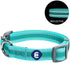 Blueberry Pet Essentials Reflective Adjustable Safety Nylon Dog Collars, Medium Size, Minty Green for Dogs