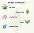 2 1 17 oz. Hempz Petz, Cat Shampoo & Conditioner, Creamy Orange & Red Raspberry in Shampoo & Conditioner