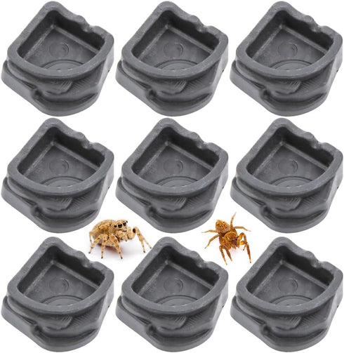 9 Pcs Mini Resin Tarantula Micro Water Bowl, Tiny Bowl for Spider, Tarantula, Millipede Insect (Small: 1" D)