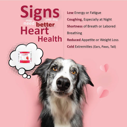 L-Carnitine,EPA,DHA,CoQ10-Aids Made-60 Heart Support Supplement for Dogs-Vet-Formulated, Antioxidant-Rich-L-Taurine