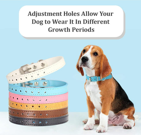 Adjustable ID Puppy Collars for Litter, 14 Color Leather Collars for Small, Medium, Large Breed Dogs, Neck 6~13 Inches