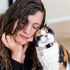 2Pcs Breakaway Cat Collars for Boy & Girl Cats, Adjustable Kitten Collars with Bell, Black + Gray