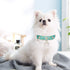 PetsHome Adjustable Cat Dog Collar, Bling Rhinestones PU Leather with Luxury Pendant, Extra Small Mint Green