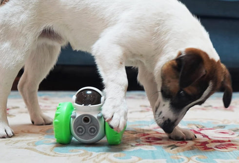 Generic Slow Leak Feeder Toy Balance Car Leak Food Toys Tumbler Dog Feeder Interactive Dog Cat Toy Food Dispenser Slow