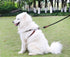 MayPaw Dog Leash, 4 FT/6 FT/8 FT/10 FT Classic Solid Colors, Strong Nylon Rope with Leather Connection, 10ft x 1/2"
