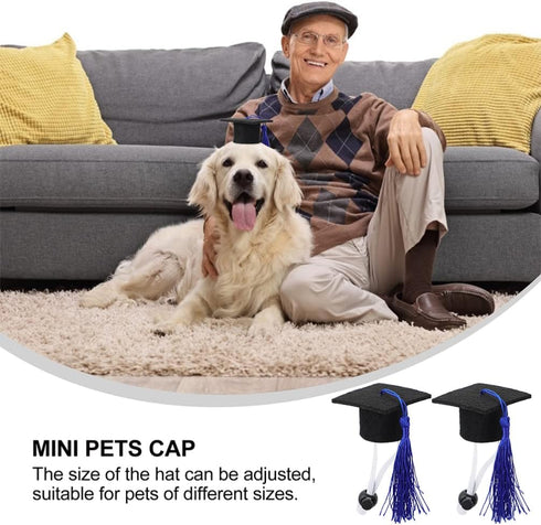 BESTOYARD 2Pcs Set Elastic Doctorial Hat Graduation Cap for Dogs and Cats, Mini Bachelor Hats for Pets