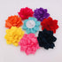 PET SHOW Small Dog Collar Charms, Bowties for Cats, Rabbits, Slide on Puppies, Medium Dog Collars, Flower Bows