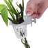 Generic 2PCS Aquarium Plant Holder - Translucent PP Plant Pot with Holes - Hangable Fish Tank Plant Stand for Indoor