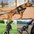 Forestpaw Heavy Duty Dog Harness for Training, Tactical Harness with 3 Metal Rings, Soft Padded for Medium Large Dogs,