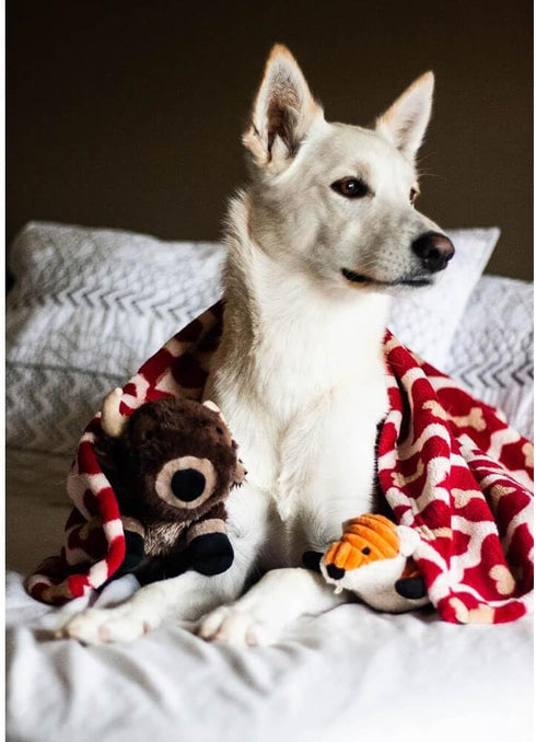 Tall Tails Plush Buffalo Dog Toy
