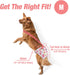 3 Pack Pet Soft Dog Diapers Female with Suspenders, Reusable Female Dog Diapers for Heat, Dog Period Panties for Doggie