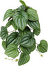 WOLEDOE Reptile Plants for Terrarium, Amphibian Habitat Decor Artificial Hanging Plants with Suction