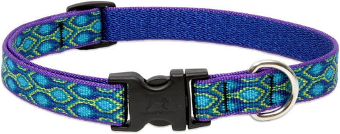 Lupine Small Dog Collar 3/4" Wide, Rain Song, Adjusts from 9" to 14".