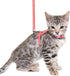 Cat Harness and Leash Set, Soft Nylon Escape Proof Adjustable for Kittens, Glow in The Dark, Moons Stars (Pink)