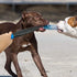 Pitbull Break Stick Professional Dog No Bite Sticks Toy for Training K9 Police, German Shepherd, Medium Large Dogs,