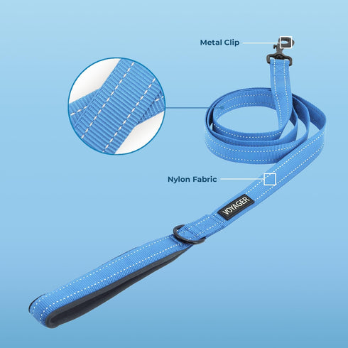 Voyager Reflective Dog Leash, Neoprene Handle, 5ft Long, Supports Small Medium Large Breed Puppies, Baby Blue