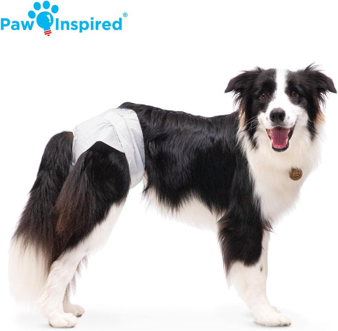 (12&144 Count) (12 Count)) Paw Inspired Disposable Dog Diapers | Female Dog Diapers Ultra Protection | Diapers for Dogs