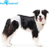 (12&144 Count) (12 Count)) Paw Inspired Disposable Dog Diapers | Female Dog Diapers Ultra Protection | Diapers for Dogs