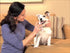 16 oz, Dr. George's Pet Mouthwash - Fresh Breath & Healthy Gums