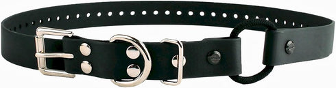 Educator Bungee Dog Collar, Biothane, Waterproof, Adjustable with Comfort Bungee Loop, 3/4-Inch, Black