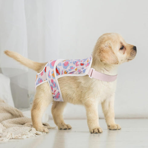 2 Pack ASENKU Dog Diapers Female Dogs, Dog Suspenders Reusable Doggie Diapers for Female Dogs Small,Washable Dog Period