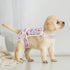 2 Pack ASENKU Dog Diapers Female Dogs, Dog Suspenders Reusable Doggie Diapers for Female Dogs Small,Washable Dog Period