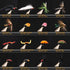 Wifreo Fly Fishing Flies Assortment with Waterproof Fly Box, 28/40/64/92/120pcs Dry/Wet/Nymph/Streamer Flies