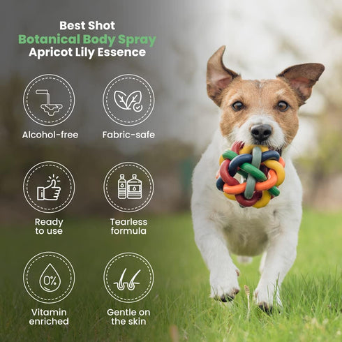 Scentament Spa Botanical Body Splash by Best Shot - Alcohol-Free Body Spray Conditioner for Pets, Apricot Lily, 8 Oz